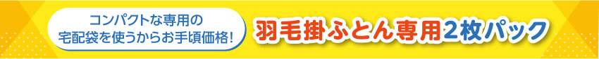 羽毛掛ふとん専用2枚パック