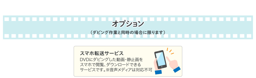オプション（ダビング作業と同時の場合に限ります）