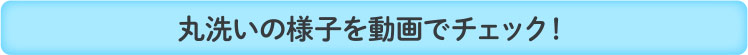 丸洗いの様子を動画でチェック！