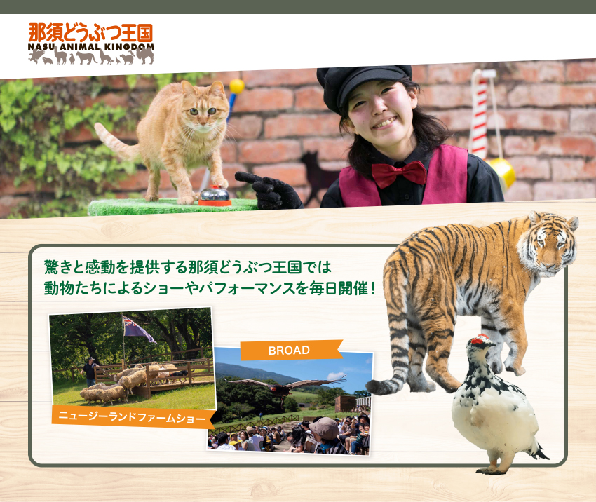 那須どうぶつ王国 驚きと感動を提供する那須どうぶつ王国では 動物たちによるショーやパフォーマンスを毎日開催！