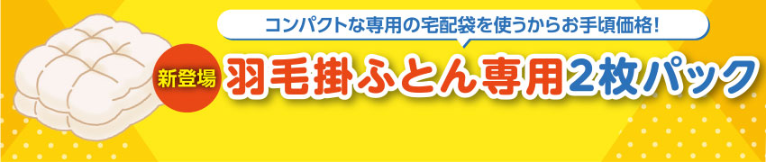 羽毛掛ふとん専用2枚パック