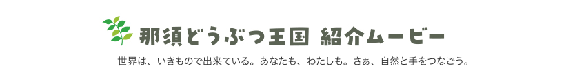 那須どうぶつ王国 紹介ムービー