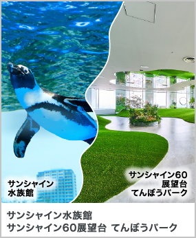 サンシャイン水族館 サンシャイン60展望台 てんぼうパーク