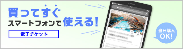 買ってすぐスマートフォンで使える 電子チケット