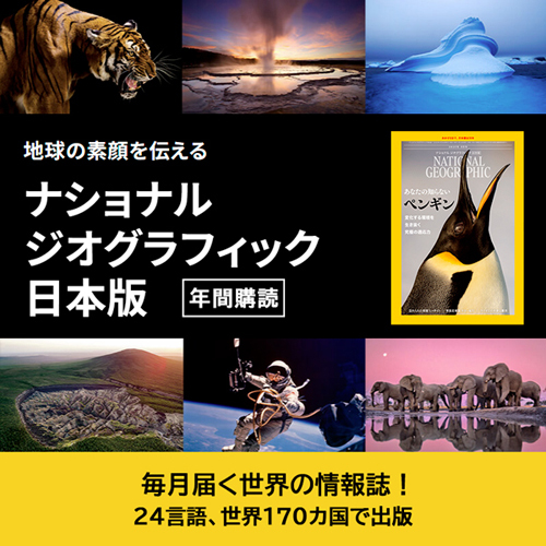 ナショナルジオグラフィック2019〜2023まとめ売り 2376256_n.jpg