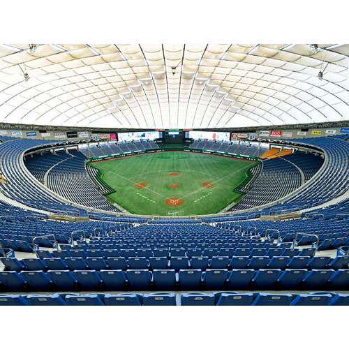 通路側】8/12(金) 東京ドームチケット 巨人×広島戦 3塁側(カープサイド