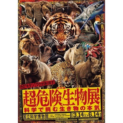 チケット】詳細ページ